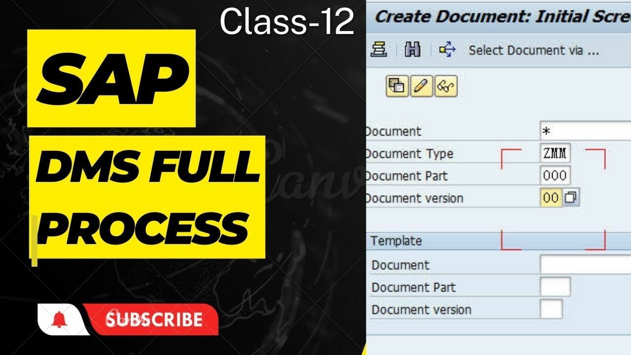 SAP DMS CV01N Full Process SAP DMS Confrigrution CV04N T Code How