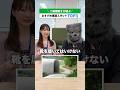 【二級建築士が選ぶ】おすすめ建築スポットTOP3🏅 #shorts #建築士 #建築 #スポット