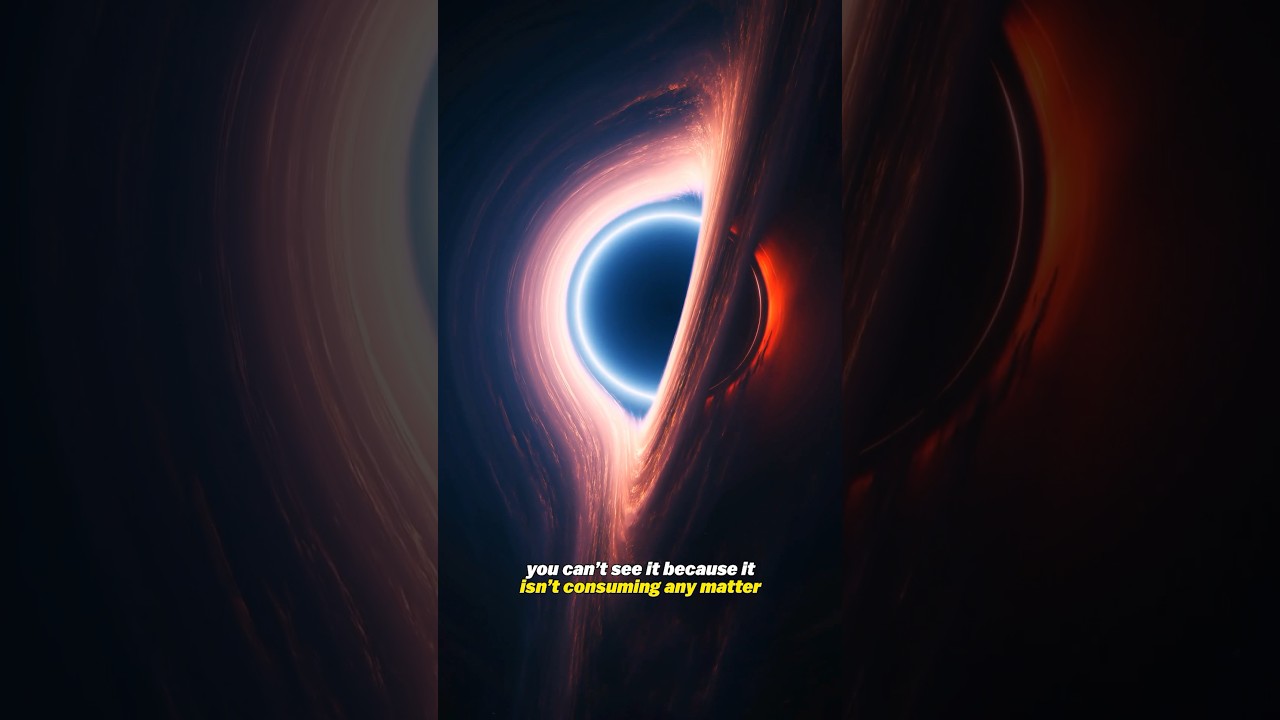 What if you fell into a Black Hole