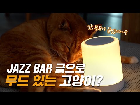 [11번가 희망쇼핑]11키티즈 달타냥이 광고하는 무드등스피커