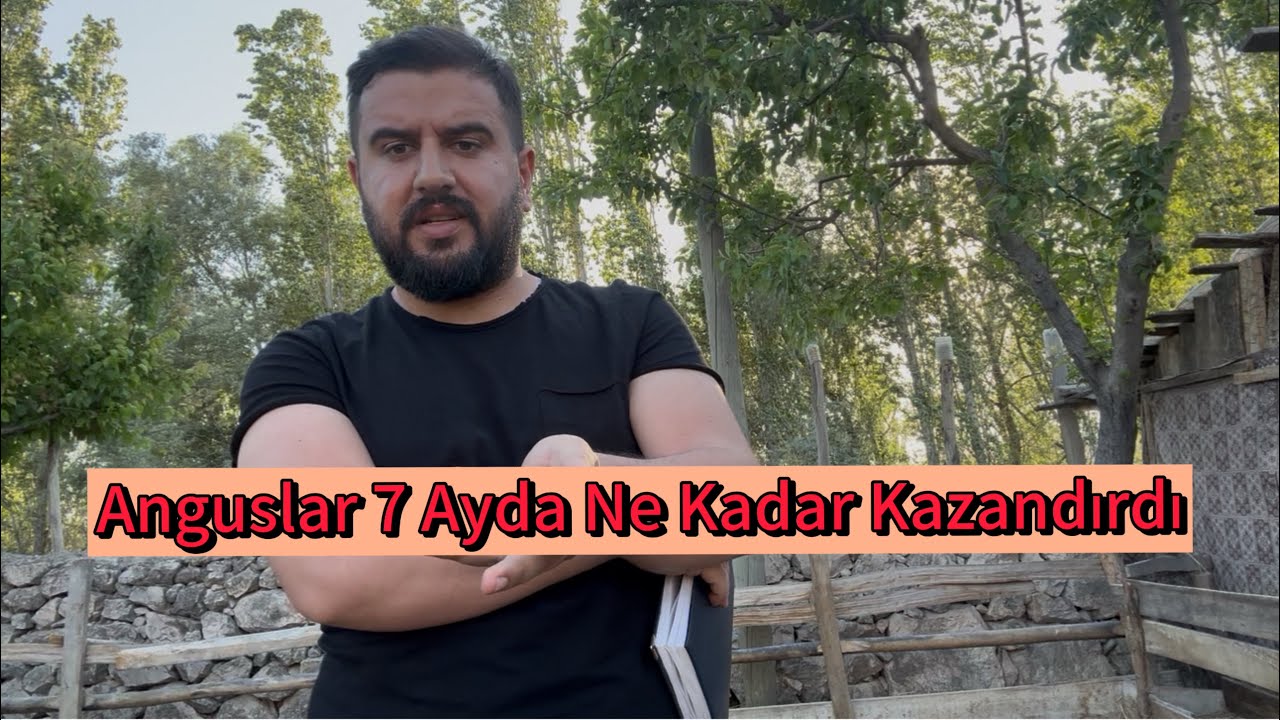 18 dana 7 Ayda Ne Kadar Kar Yaptı