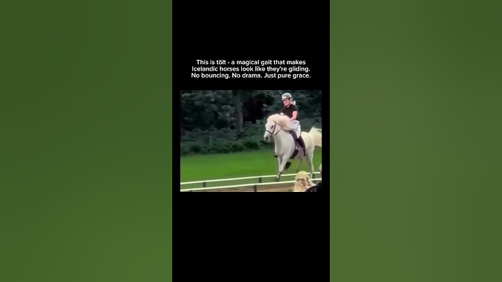 Music & memes – the perfect combo! 🎶🤣#dressage #sports #horses