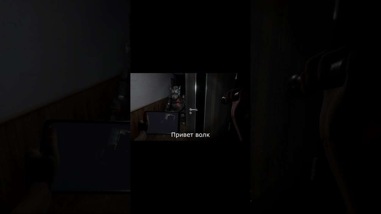 ИЩЕМ КОТА 😨 