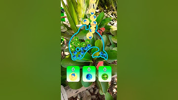 Fill the shape with inside out balls Brain test iq Challenge