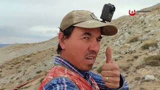 Si̇vas Çi̇l Kekli̇k Avi. İngi̇li̇z Poi̇nter Zeyna Ferma