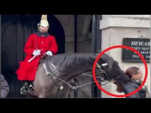 Shocking moment a King's Guard horse clamped down on a woman's ponytail