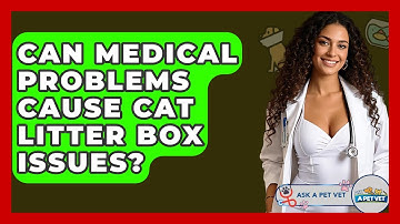 Can Medical Problems Cause Cat Litter Box Issues? - Ask A Pet Vet