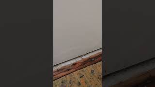 Home Improvement, Visible mold & tackstrip decay after water Instrustion