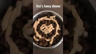 Xixis Fancy Dinner