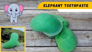 Elephant Toothpaste Experiment With Chemistry Explanation