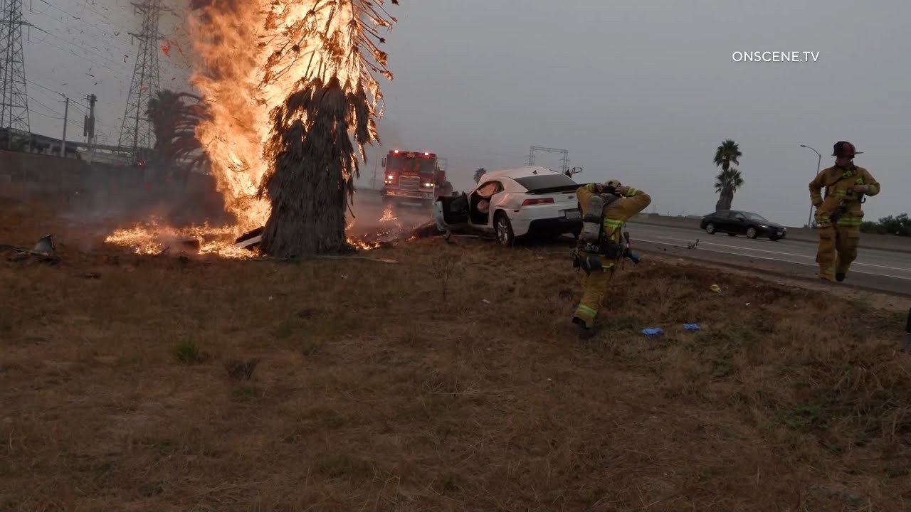 Camaro Driver Slams into Palm Tree Starting Fire - YouTube