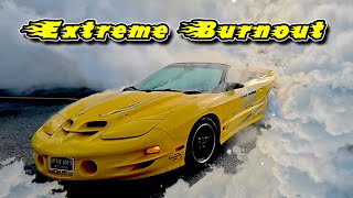 We almost wreck our Trans Am!