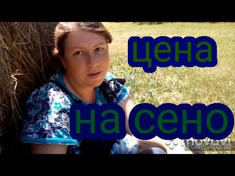 Цена на сено.