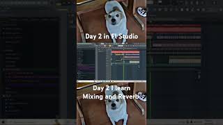 Day 2 in FL Studio I learn Mixing and Reverb. #flstudio