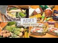 Húsvéti FOOD HAUL 🛒🍅🥐 Lidl, Tesco, Dm + ázsiai alapanyagok!