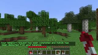 Home/Spawn Teleport Command Testing