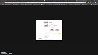 conditional execution Pamela Yin