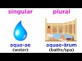 Understanding Pluralia Tantum in Latin