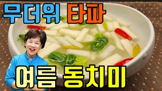 이냉치열 뼈속까지 시원한 초 초 간단 여름동치미