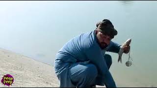 HEMME ZADYN OZ WAGTY BAR