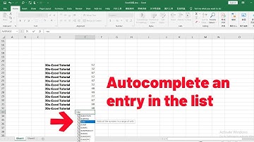 How to have Excel autocomplete an entry in that list in Excel
