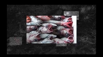 BIPED - Folding Up / Contracting (Official Video)