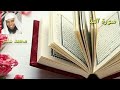 سورة النبأ mp3