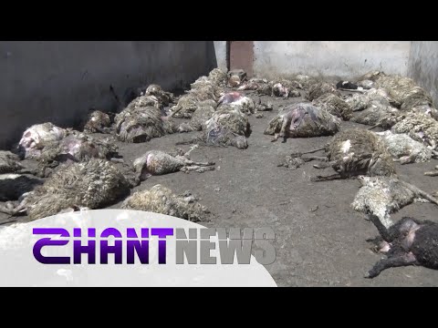 Video: Ավելի քան 100 ուղղություններ ավելացվել են Պետքարտուղարության «Մի ճանապարհորդիր» ցանկում