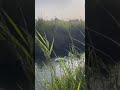في حال انك مشفتش حاجة حلوة النهارده