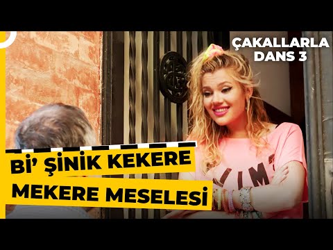 Hikmet'i Çıldırtan Tekerleme Sahnesi | Çakallarla Dans 3