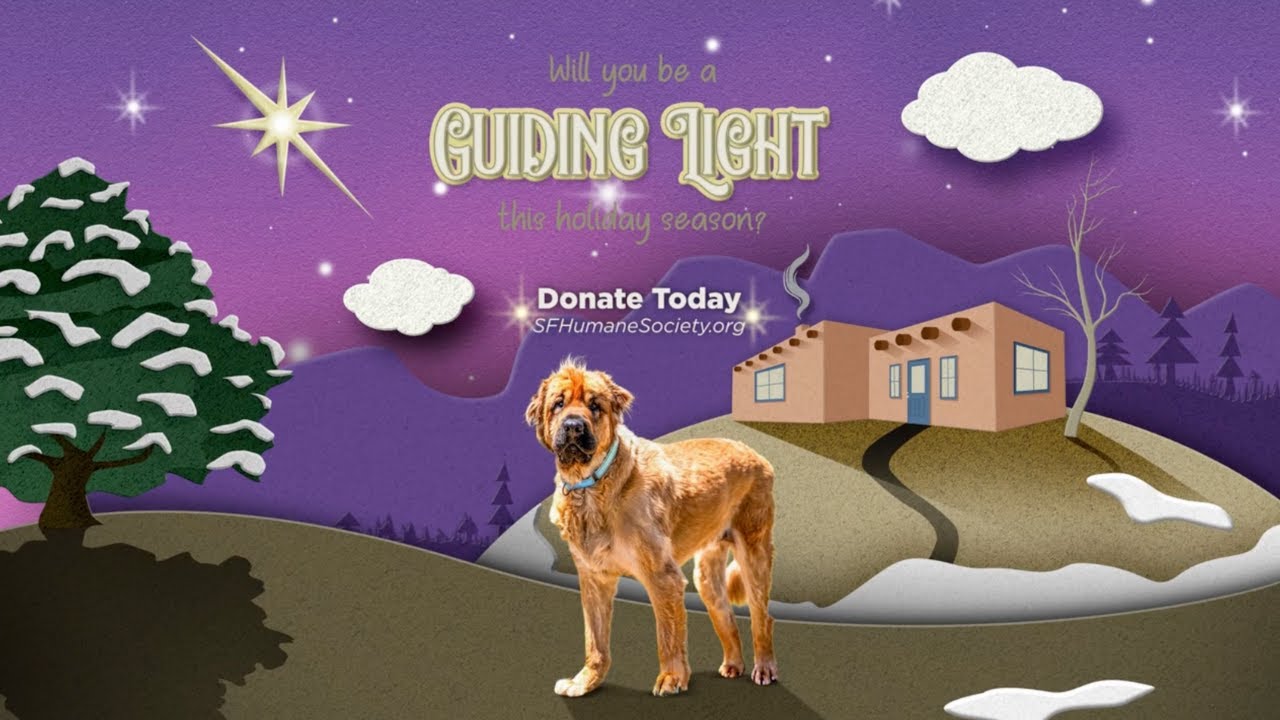 Will you be a guiding light this holiday season?