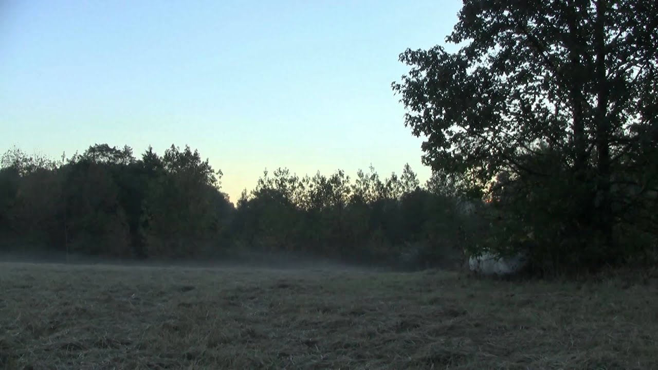 Sunrise Dawson, AL 81310 YouTube