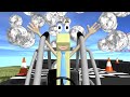 Coin Racing Quiz