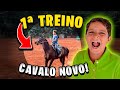 GANHEI UM CAVALO NOVO - Meu primeiro treino