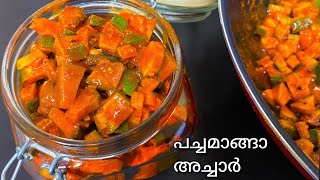 കേരള മാങ്ങാ അച്ചാർ | Kerala Mango Pickle Recipe in Malayalam | Easy Instant Mango Achar | Side dish