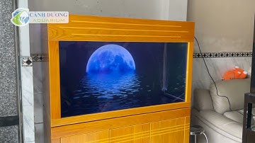 Hồ cá công nghệ 120cm tủ gỗ Soan đào | Hồ Cá Cảnh Dương