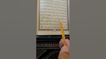 تعليم سورة النساء من آية 13 إلى آية 14