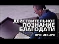 Действительное познание благодати | Орен Лев Ари