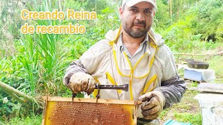 Creando Reina de recambio