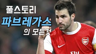 파브레가스 풀스토리 스페셜 ( 스페인 축구 천재 )