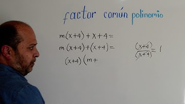 FACTOR COMÚN POLINOMIO. Factorización. Ejemplo 1