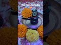 hai re mere bhole baba # mahadev status# trending #song