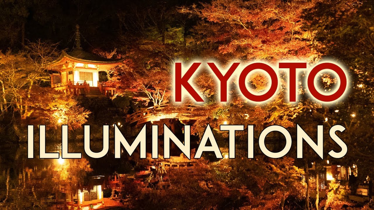 Kyoto momiji illuminations compilation