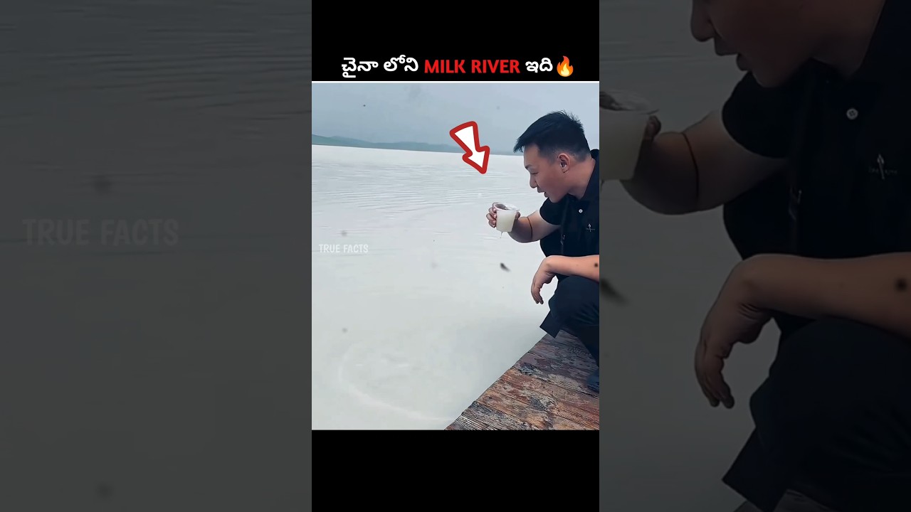 Free Milk River In China 🔥|