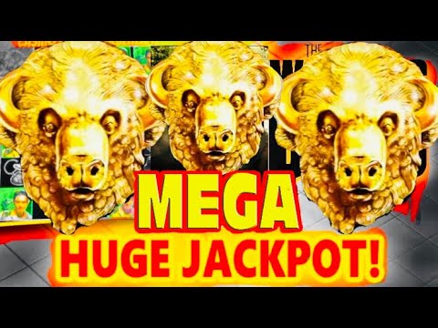 buffalo chief jackpot buffalo chief jackpot