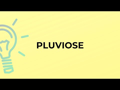 What is the meaning of the word PLUVIOSE?