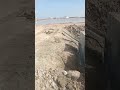 back filling #construction #concreteconstruction #concretepouring #civilengineering #shortsfeed