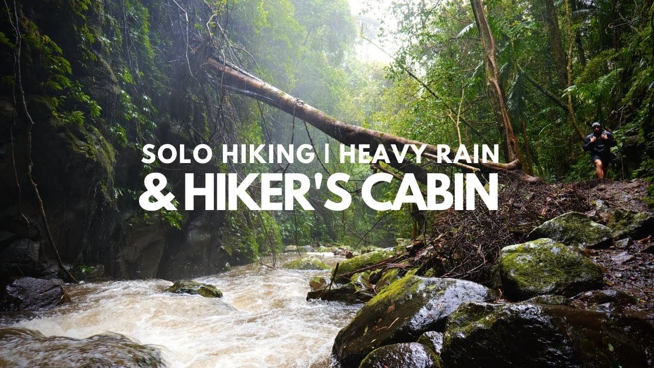 O'Reilly's Rainforest Retreat: Solo Hiking | Box Forest Circuit | Hiker's Cabin