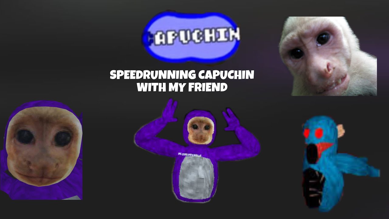 PLAYING HORROR MODE IN CAPUCHIN WITH MY FRIEND (did not complete it ...