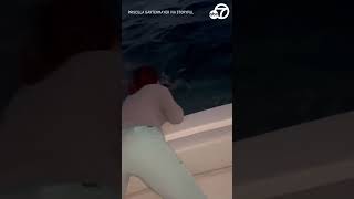 Florida family races out to save 22-year-old diver swept away in ocean current
